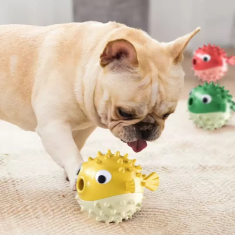 Bouncing Fish Treat Dispenser Toy