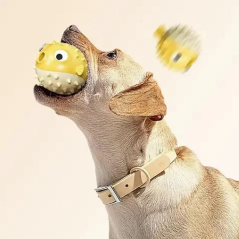 Bouncing Fish Treat Dispenser Toy