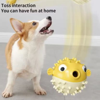 Bouncing Fish Treat Dispenser Toy