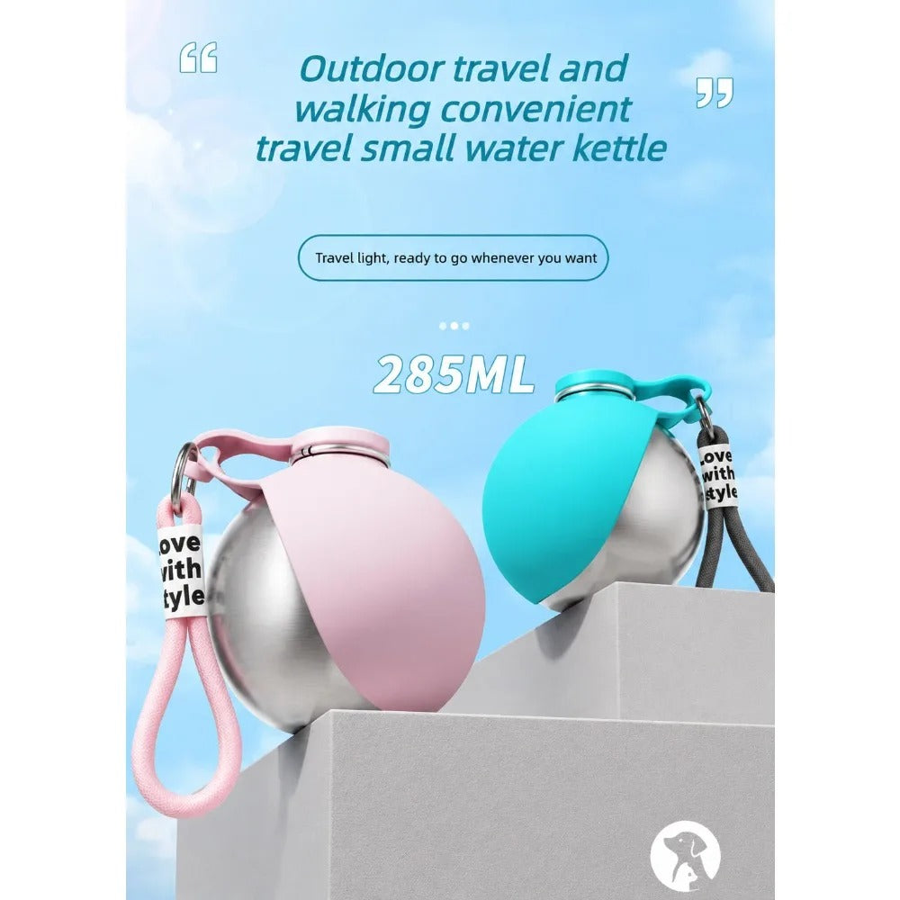 Stainless Steel Pet Water Bottle with Foldable Silicone Bowl