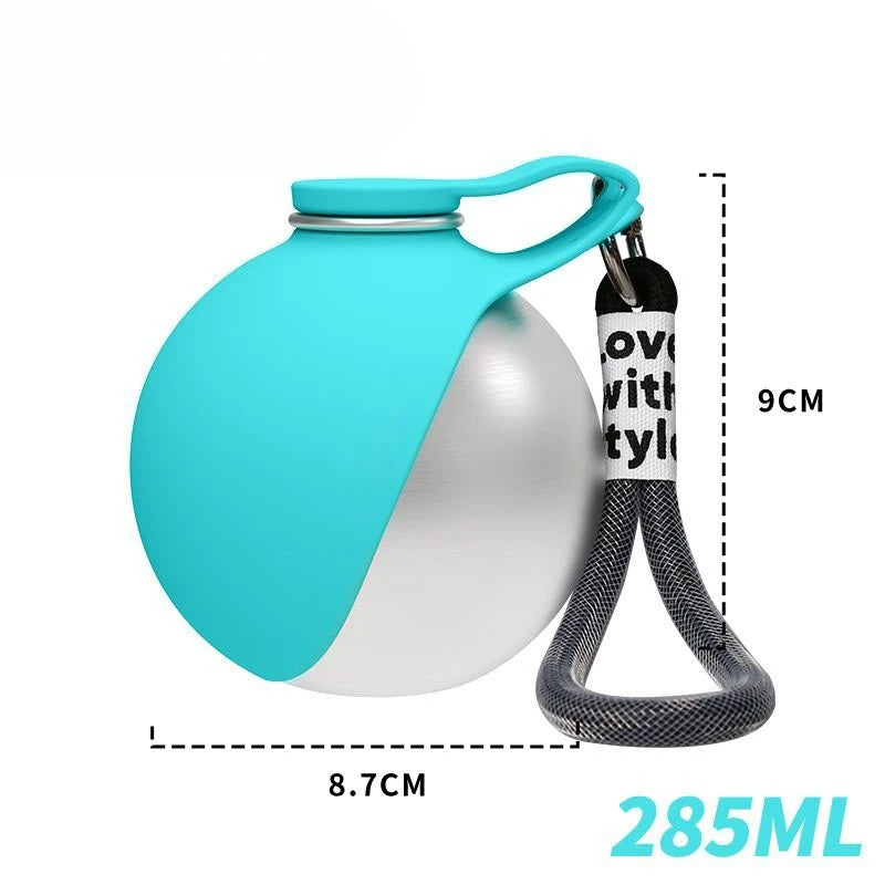 Stainless Steel Pet Water Bottle with Foldable Silicone Bowl